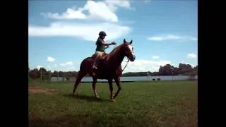 Summer Time Horse Back Riding at D.R. Taks Farm