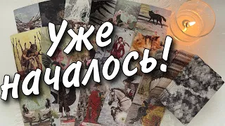 Чем Порадует личная жизнь в эти Две Недели... 🕊️♥️♠️ Таро прогноз