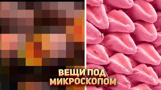 Вещи под микроскопом - это другой мир! 🌍