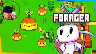 Огромная веселая свекла ⚡️ Forager #2