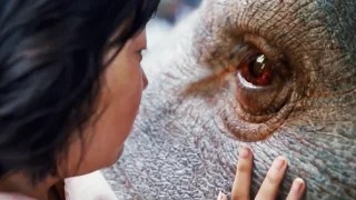 Okja Trailer 2017 Movie Teaser - Official