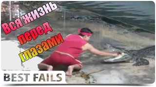 Смешные ПРИКОЛЫ 2015 Coub & Vine # 32 Funny video Best fails Подборка смешных видео