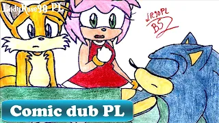 Sonic -  Plan of total destruction [comic dub PL/English subtitles]