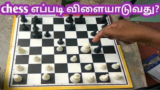 how to play chess for beginners in tamil | how to play chess in tamil | play chess in tamil | YTV