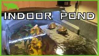 100 Gallon Indoor Turtle Tub Set Up