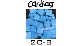 Cardiacs - 2C-B (B-sides compilation - Remastered)