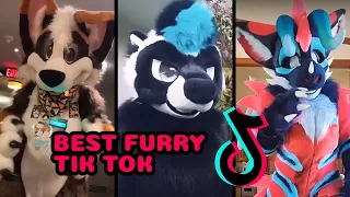 Best Furry TikToks 🐯 Fursuit TikToks Compilation [✨ Ep 129✨]