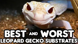 BEST and WORST Leopard Gecko Substrates