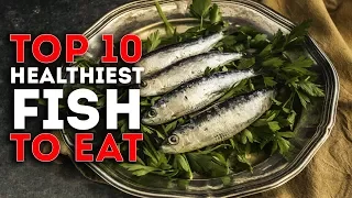 Top 10 Healthiest Fish To Eat