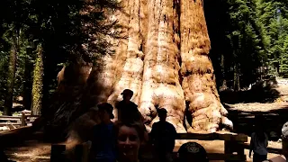 General Sherman 2012