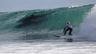 Dolphins Steal the Show at the Rincon Classic Surf Competition