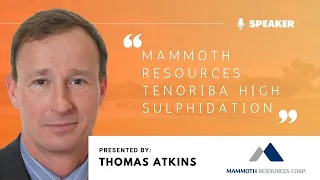 Thomas Atkins, "Mammoth Resources’ Tenoriba High Sulphidation" Discoveries 2022 Mining Conference