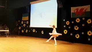 Independent Day of Ukraine in Swansea. Grand Theater. 24/08/22.