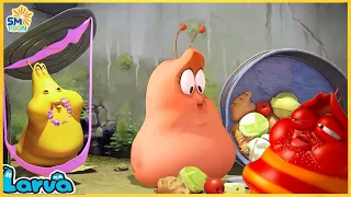 Larva movies: Gluttonous Friends | Hilarious cartoons compilation