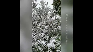 Снег в Абхазии ❄️