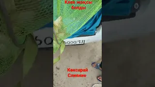 Көксарай Слияние