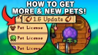 How to Get MORE PETS & TURTLES in Stardew Valley 1.6 Update