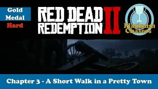 A Short Walk in a Pretty Town - Gold Medal Guide - Red Dead Redemption 2