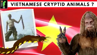 Vietnam's Cryptid animals (the Con Rit and Nguoi Rung, Batutut, and Ujit.)