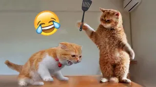 Funny Animals 2024 😂 Cute Cat And Dog Funny Videos 😸 Part 676