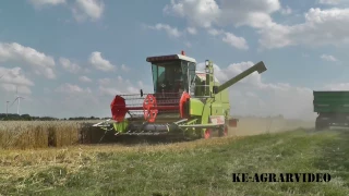 Claas Dominator 58 SPEZIAL beim Weizen dreschen! [HD]