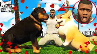 FRANKLINS DOG CHOP has a GIRLFRIEND in GTA 5