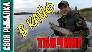 Твичинг в кайф!