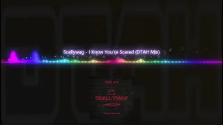 Scallywag - I Know You re Scared (DTAH Mix)