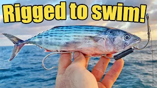 Trolling baits with an ex professional fisherman! (Catch & Clean)