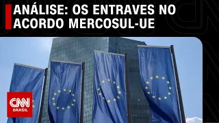 Análise: Os entraves no Acordo Mercosul-UE | WW