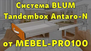 BLUM TandemBox ANTARO - N от MEBEL-PRO100… 😉