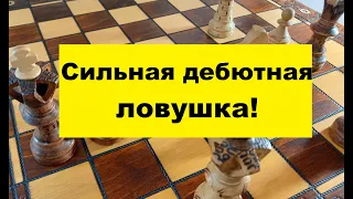 Шахматы. Сильная дебютная ловушка! Гарантированная победа!