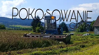 WTOPA POKOSÓWKI!? KOSZENIE GRYKI W TRUDNYCH WARUNKACH⛰️ Fortschritt E-301🌾Gr Krupa