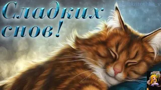 🌙✨СПОКОЙНОЙ НОЧИ, ДЕНЬ ПРОШЕЛ!💞УНИВЕРСАЛЬНОЕ ДОБРОЕ ПОЖЕЛАНИЕ✨🌙