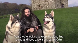 Games of Thrones direwolves help drive surge in breed's popularity