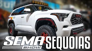 NEW Sequoias of SEMA 2022