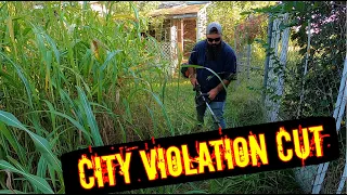 THIS IS THE CRAZIEST LAWN I HAVE EVER CUT!! | I CUT THIS CITY VIOLATION LAWN FOR FREE!!!