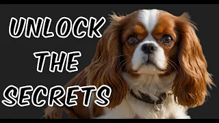 Amazing Facts You Didn't Know About Cavalier King Charles Spaniels