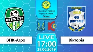 29.06.19  "ВПК-Агро" - "Вікторія"  LIVE. 17:00