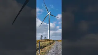 I went on hike and saw lots of windmills. It was huge.