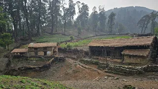 The Most Peaceful Yet Very Tough Daily Activity of Nepali Mountain Village Life ||Rural Life Nepal