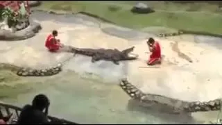 shocking crocodile eats man head