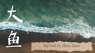 Pinyin Lyrics 大鱼  周深 Big Fish by Zhou Shen (Learn Chinese Through Songs)