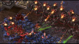 EPIC - Reynor 🇮🇹 (Z) vs Serral 🇫🇮 (Z) on Royal Blood - StarCraft 2 - 2023