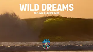 On surfe une BAIE PERDUE en Indonésie... WILD DREAMS - The Java & Lombok Part