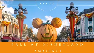 Fall At Disneyland Ambience 🍁🍂✨