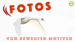 Voraussetzungen für scharfe Fotos bewegter Motive