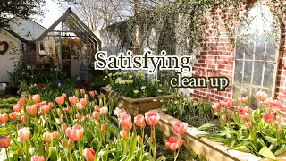 Transforming My Cottage Garden: Spring Cleanup, No-Dig Meadow, & Bee Hive Assembly 🐝