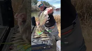 Crappie Fishing From The Bank #shorts