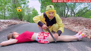 Try Not To Laugh 🤣 New Funny Videos 2020 - Episode 73 | Sun Wukong